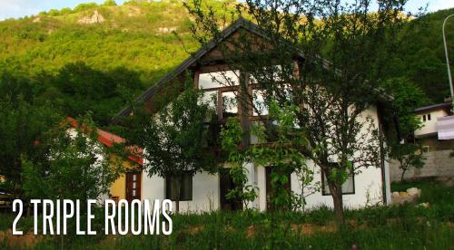 المرافق, Guesthouse Zvono in Pluzine المرافق, Guesthouse Zvono in Pluzine