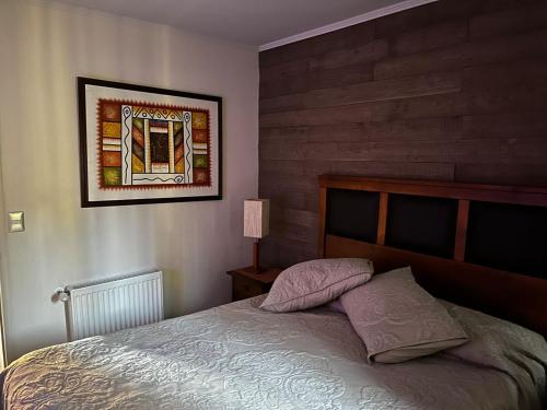 Pucon condominio Alicura in เขตริมน้ำปูกอน Pucon condominio Alicura in เขตริมน้ำปูกอน