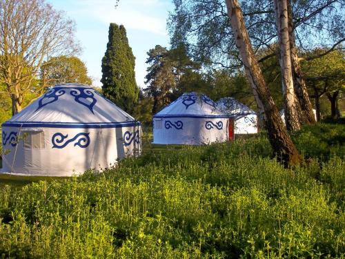 This photo about Plush Tents Yurt Village shared on HyHotel.com
