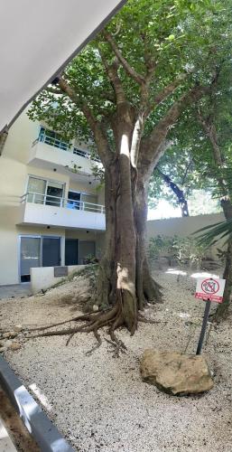 Welcome to Casa Del Arbol! in Akumal Welcome to Casa Del Arbol! in Akumal