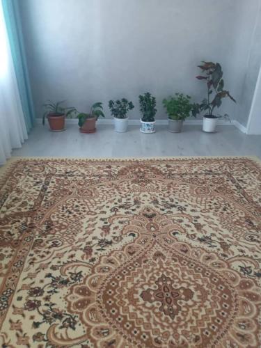Алтын Булак гостевой дом (Алтын Булак гостевои дом) in Shabdan Алтын Булак гостевой дом (Алтын Булак гостевои дом) in Shabdan
