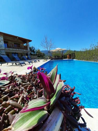 مسبح, Villa iksir in Çamlik مسبح, Villa iksir in Çamlik