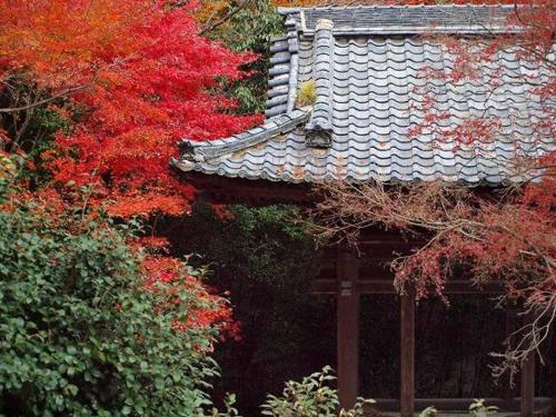 Nearby attraction, Guest House Hana in Otsu Nearby attraction, Guest House Hana in Otsu