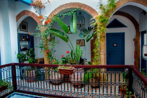 Létesítmények, Riad Le Cheval Blanc in Safi Létesítmények, Riad Le Cheval Blanc in Safi