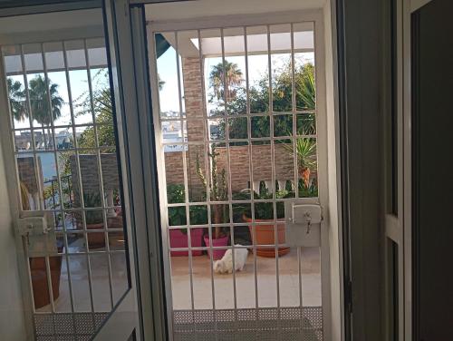 studio coquet chez LOU - Marsa in La Marsa studio coquet chez LOU - Marsa in La Marsa