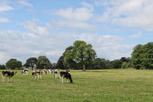 The Granary at The Long Barn a Perfect Countryside Stay in Almondsbury The Granary at The Long Barn a Perfect Countryside Stay in Almondsbury