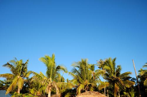 Beach, Malapascua Budget Inn in Malapascua Island Beach, Malapascua Budget Inn in Malapascua Island