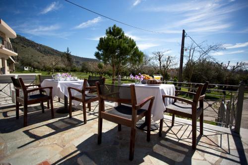 Balcony/terrace, Hotel Marathia in Arta Balcony/terrace, Hotel Marathia in Arta