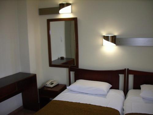 Claridge Hotel - image 8