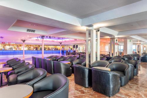 Quầy bar/Pub, Port Fiesta Park in Benidorm - Costa Blanca Quầy bar/Pub, Port Fiesta Park in Benidorm - Costa Blanca