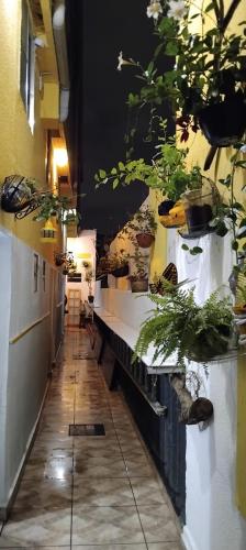 Hostel Aprisco São Paulo (Hostel Aprisco Sao Paulo) in มูกา Hostel Aprisco São Paulo (Hostel Aprisco Sao Paulo) in มูกา