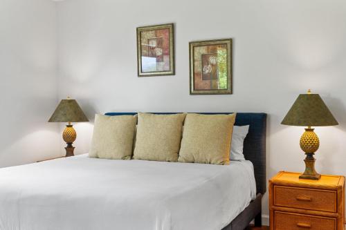 A2 Waikoloa Beach Villas