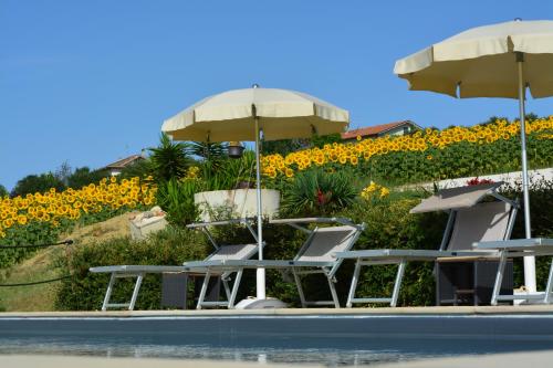 Swimming pool, Casale dei Cinque Colli in Ostra Swimming pool, Casale dei Cinque Colli in Ostra