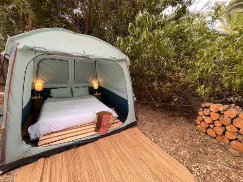 Glamping El Arbol - Naturaleza y Mar in La Serena Glamping El Arbol - Naturaleza y Mar in La Serena