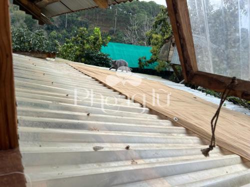 Phong Lu Homestay Dalat in Ap Da Loi Phong Lu Homestay Dalat in Ap Da Loi