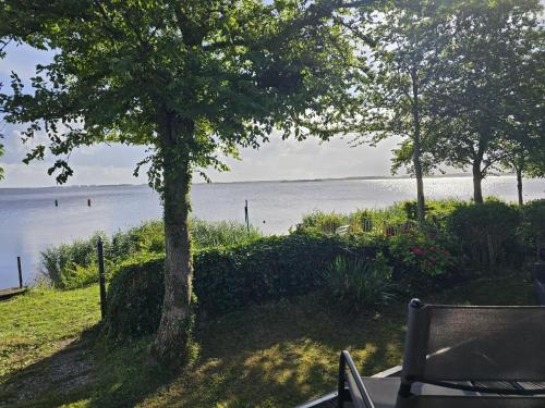 tuin, Vakantiehuis aan het Lauwersmeer in Dongeradeel tuin, Vakantiehuis aan het Lauwersmeer in Dongeradeel