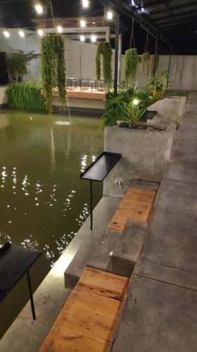 酒吧/高級酒吧, 4平方米12臥室公寓 (尖米士) - 有12間私人浴室 (Backyard Guest House) in 奇亞米斯 酒吧/高級酒吧, 4平方米12臥室公寓 (尖米士) - 有12間私人浴室 (Backyard Guest House) in 奇亞米斯