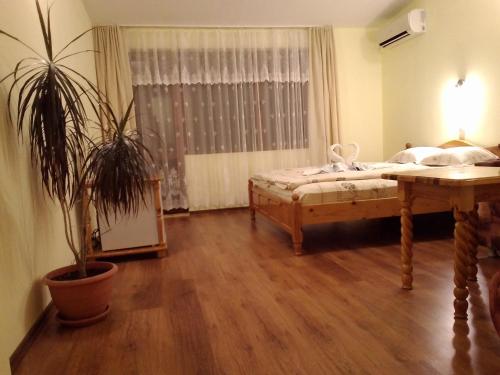 Guest House Diamant in سوزوبول Guest House Diamant in سوزوبول
