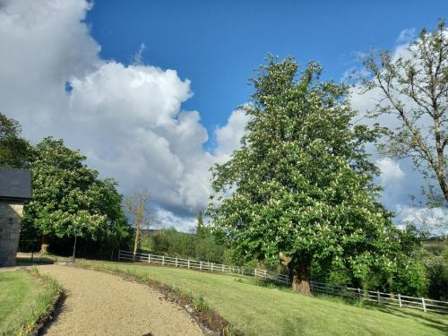 View, Chestnut Cottage Leitrim in Manorhamilton View, Chestnut Cottage Leitrim in Manorhamilton