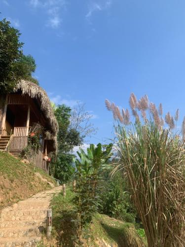 Homestay Khoáng nóng Thông Nguyên (Homestay Khoang nong Thong Nguyen) in Nam Pi Homestay Khoáng nóng Thông Nguyên (Homestay Khoang nong Thong Nguyen) in Nam Pi