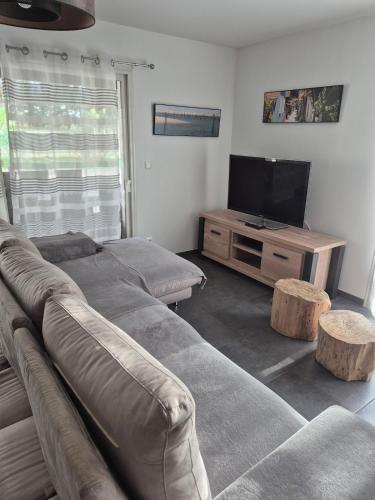 Közös társalgó / TV, Villa Donostia - Jacuzzi & piscine chauffée (Villa Donostia - Jacuzzi & piscine chauffee) in La Brede Közös társalgó / TV, Villa Donostia - Jacuzzi & piscine chauffée (Villa Donostia - Jacuzzi & piscine chauffee) in La Brede