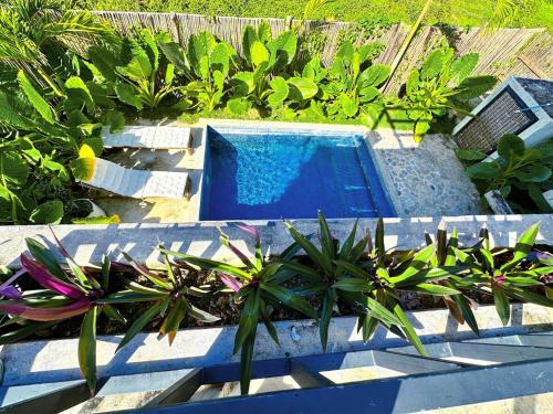 Garden, Casa Ola, luxurious jungle house in Other Garden, Casa Ola, luxurious jungle house in Other