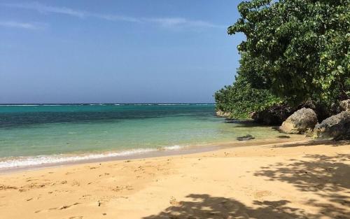The Blue Jade Ocho Rios in ริโอนูโอยา The Blue Jade Ocho Rios in ริโอนูโอยา