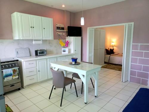 Kitchen, Nested View- Spacious & quiet Apt 2 Nested Point Old Westerhall in Becke Moui Kitchen, Nested View- Spacious & quiet Apt 2 Nested Point Old Westerhall in Becke Moui