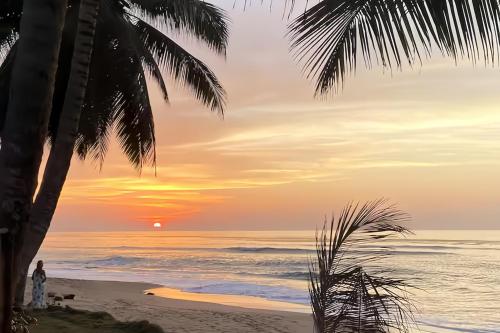 A környék, Coral Of The Seas - Sun Coral in Aguada A környék, Coral Of The Seas - Sun Coral in Aguada