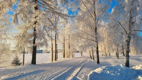 Surrounding environment, Lomayksio C 2 Sotkamon keskustassa in Sotkamo Surrounding environment, Lomayksio C 2 Sotkamon keskustassa in Sotkamo