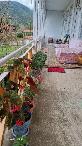 Guest House Balda in Ianet'I Guest House Balda in Ianet'I