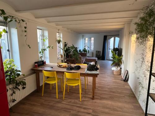 Appartement centrum Groningen in Binnenstad-Oost Appartement centrum Groningen in Binnenstad-Oost