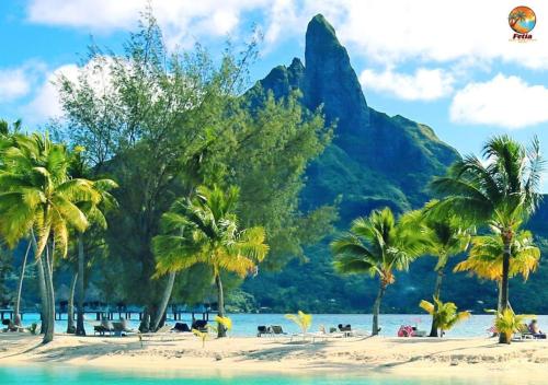 منظر, BLUE LAGOON - Terrace View & Beach Access - FREE WIFI PARKING - Bora Bora Dream - SPECIAL OFFER near مطار Bora Bora منظر, BLUE LAGOON - Terrace View & Beach Access - FREE WIFI PARKING - Bora Bora Dream - SPECIAL OFFER near مطار Bora Bora