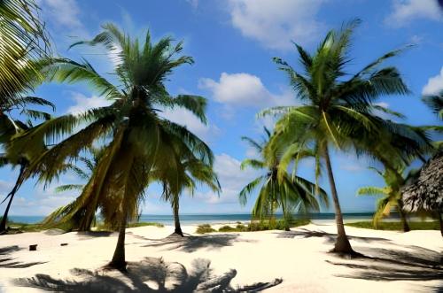 Vistas, Spacious accessible house in Watamu, shared pool in Watamu Vistas, Spacious accessible house in Watamu, shared pool in Watamu