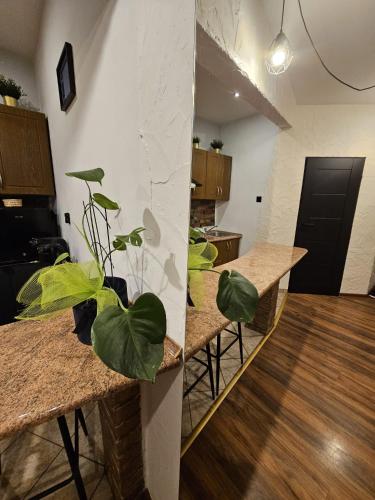 Loft in سوسنوفيتش Loft in سوسنوفيتش