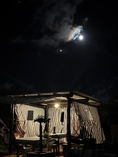 Biodiversidad in La Pedrera Biodiversidad in La Pedrera