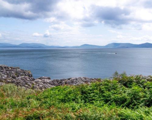 Dolphin View Lambs Head in Caherdaniel Dolphin View Lambs Head in Caherdaniel