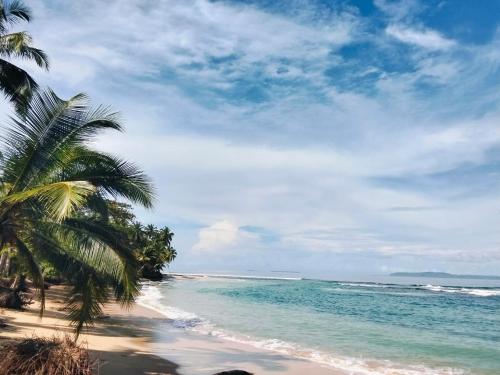 sunsetlodge Mentawai in Katurai sunsetlodge Mentawai in Katurai