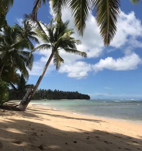 sunsetlodge Mentawai in Katurai sunsetlodge Mentawai in Katurai