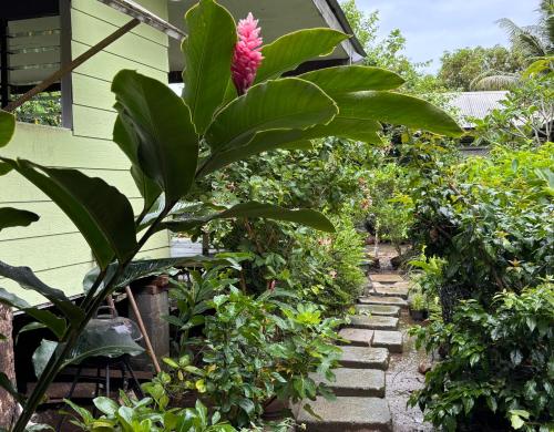 Chez Nina CH in Opoa Chez Nina CH in Opoa