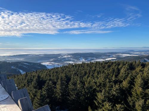 Apartmán U Merlina (Apartman U Merlina) in Destne V Orlickych Horach Apartmán U Merlina (Apartman U Merlina) in Destne V Orlickych Horach