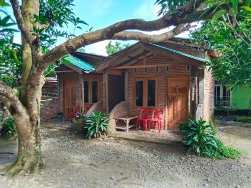 Jhony's Backpacker-Guest House in Bukit Lawang Jhony's Backpacker-Guest House in Bukit Lawang
