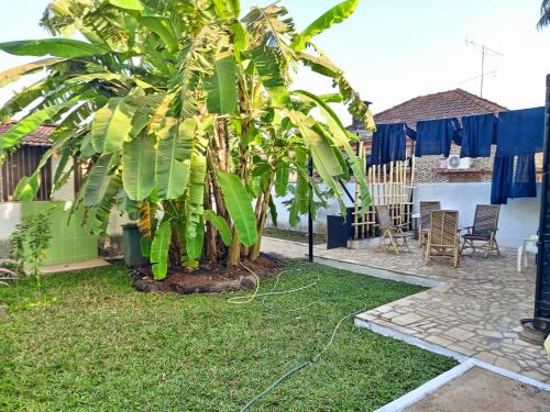 View, Casa Cacheu Homestay Guest House in Bissau View, Casa Cacheu Homestay Guest House in Bissau