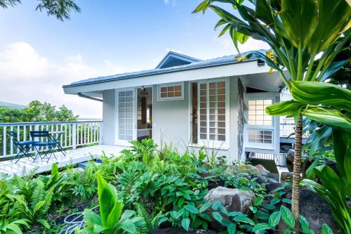 Domaine To'a Hotu Iti in Vaira'o Domaine To'a Hotu Iti in Vaira'o