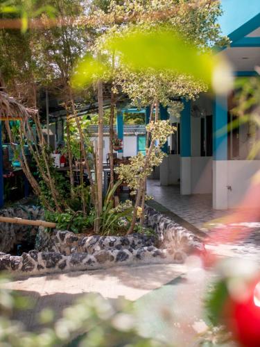 สวน, Los Patios Hostel Phuket in ไม้ขาว สวน, Los Patios Hostel Phuket in ไม้ขาว