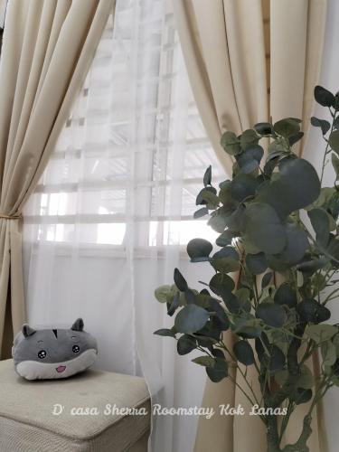 D'casa Sherra Homestay Kok Lanas in Ketereh D'casa Sherra Homestay Kok Lanas in Ketereh