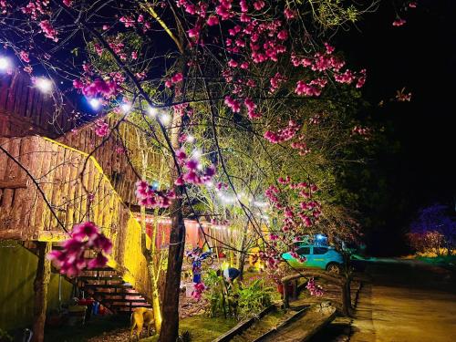 Thanh Binh Homestay Khu 37 Ho Mang Đen in Kon Von Kle Thanh Binh Homestay Khu 37 Ho Mang Đen in Kon Von Kle