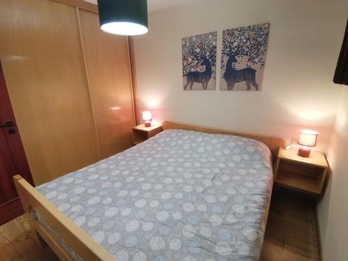 Accogliente trilocale in pista a Folgarida