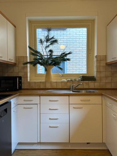 Studios City Stay & Go Enschede in Енсхеде Studios City Stay & Go Enschede in Енсхеде