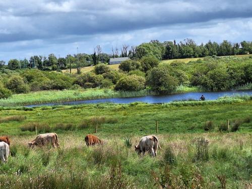 Lough Lea House, Bunnamuca in Strokestown Lough Lea House, Bunnamuca in Strokestown